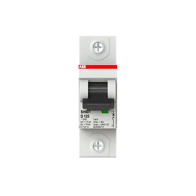 2TAZ190100R0841 - SH801-D125 Miniature Circuit Breaker D-Char.,10kA,125A,1P - ABB