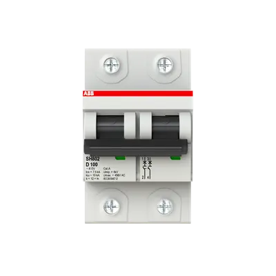 2TAZ190200R0821 - SH802-D100 Miniature Circuit Breaker D-Char.,10kA,100A,2P - ABB