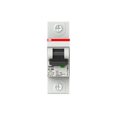 2TAZ190100R0821 - SH801-D100 Miniature Circuit Breaker D-Char.,10kA,100A,1P - ABB
