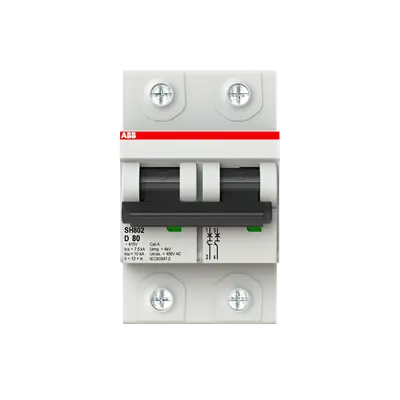 2TAZ190200R0801 - SH802-D80 Miniature Circuit Breaker D-Char.,10kA,80A,2P - ABB